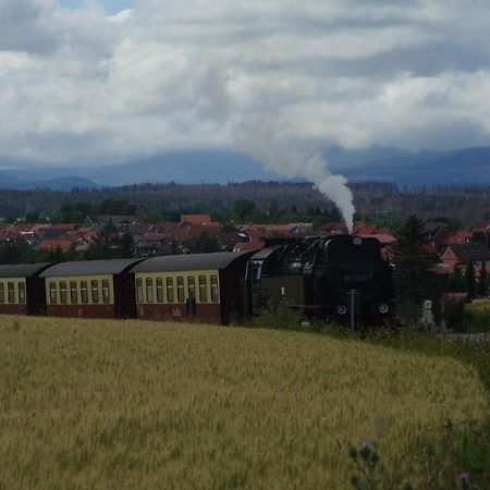 Ferienwohnung Schuur - Harz Hasselfelde Exterior foto